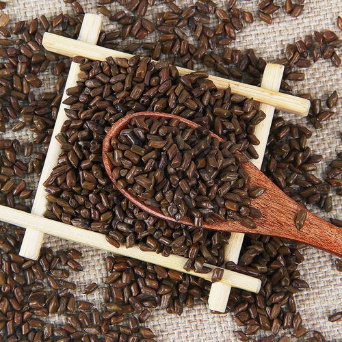 養生新選擇 炒熟決明子茶與草本植物組合的初級農產品